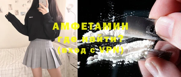 шишки Верхний Тагил
