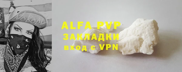 шишки Верхний Тагил
