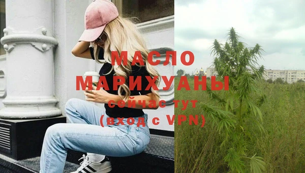 шишки Верхний Тагил