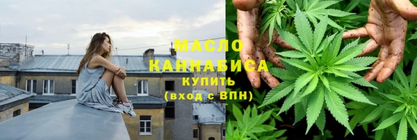 прущая мука Вяземский