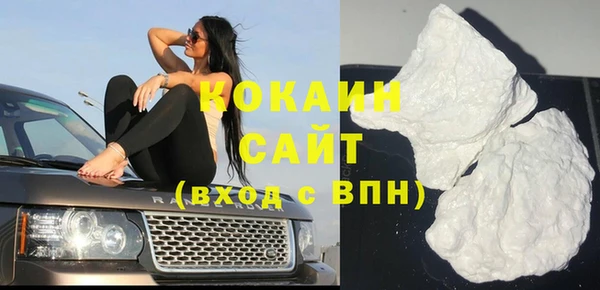 шишки Верхний Тагил